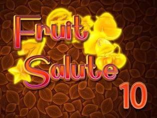 Fruit Salute 10 screenshot